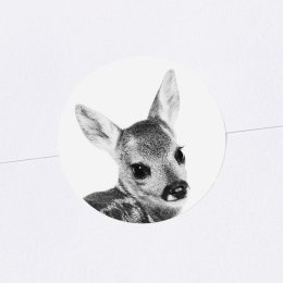 Scandi Fawn